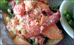 Lobster Roll